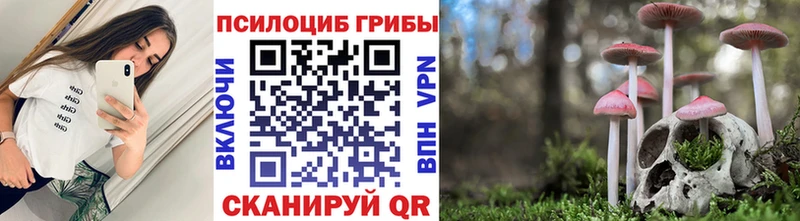 Галлюциногенные грибы Psilocybine cubensis  MEGA ТОР  Облучье  купить наркоту 
